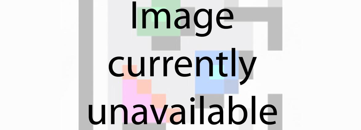 Collection Representative Image
