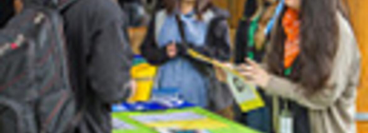 Collection Representative Image
