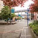 Camosun College Publications