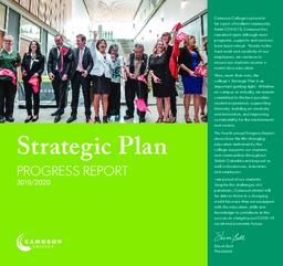 Strategic Plan Progress Report 2019/2020