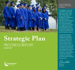 Strategic Plan Progress Report 2016/2017