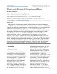 What Are the Biological Mechanisms of Dream Abnormalities?