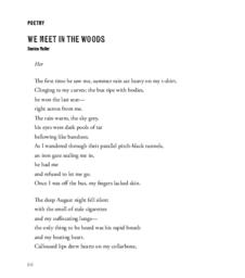 26 - We Meet in the Woods