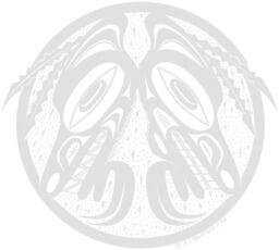 Métis Sash: 