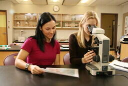2007 College Relations Stock photo - Biology
